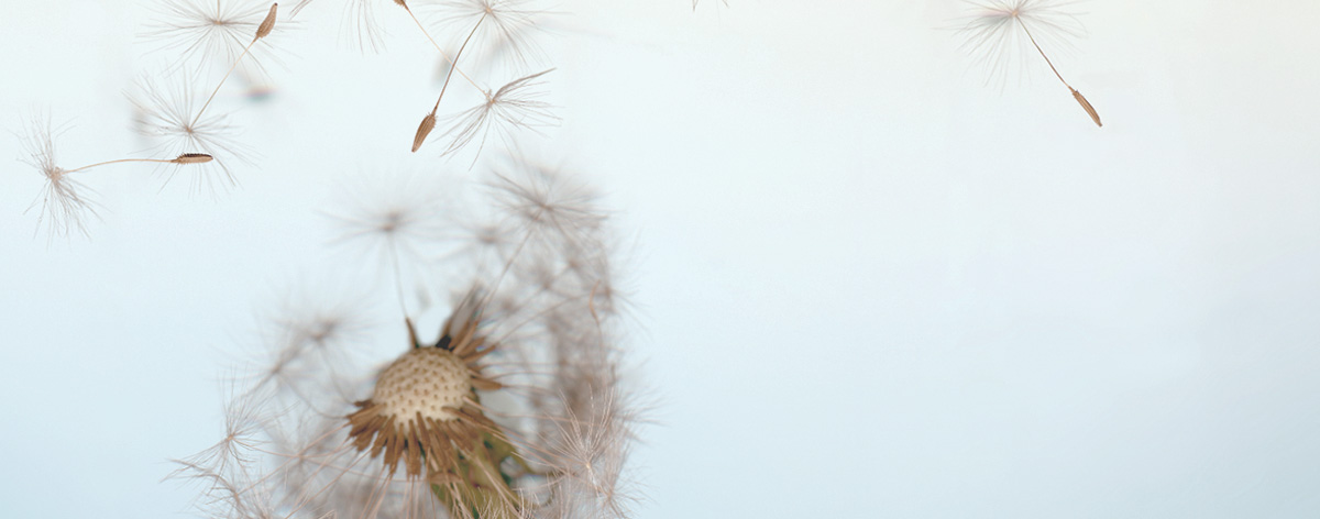 Natural, effective skin treatments